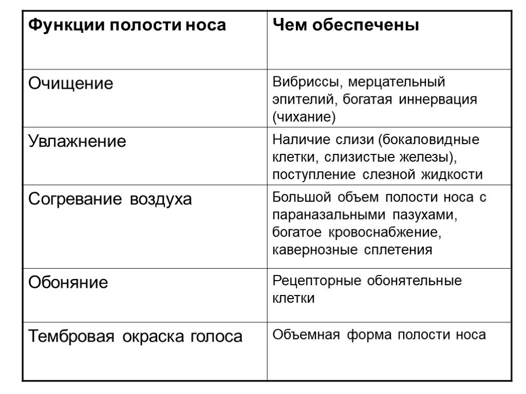 Функции носовой полости. Функции полости носа. Функции носа презентация. Заполненная таблица функции полости носа.