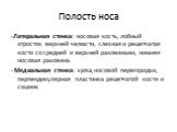 Полость носа. -Латеральная стенка: носовая кость, лобный отросток верхней челюсти, слезная и решетчатая кости со средней и верхней раковинами, нижняя носовая раковина. - Медиальная стенка: хрящ носовой перегородки, перпендикулярная пластинка решетчатой кости и сошник