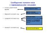 Сообщение полости носа с параназальными синусами. Клино-решетчатый карман Верхний носовой ход Средний носовой ход Нижний носовой ход. клиновидная пазуха задние ячейки решетчатой кости лобная пазуха, верхнечелюстная пазуха, средние и передние ячейки решетчатой кости. носослезный канал