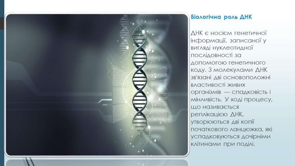 Днк 11. ДНК для презентации. ДНК презентация по биологии. Роль ДНК В жизни человека. Изучает ДНК для презентации.