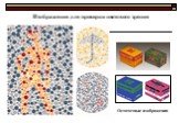 Остаточные изображения. Изображения для проверки цветового зрения
