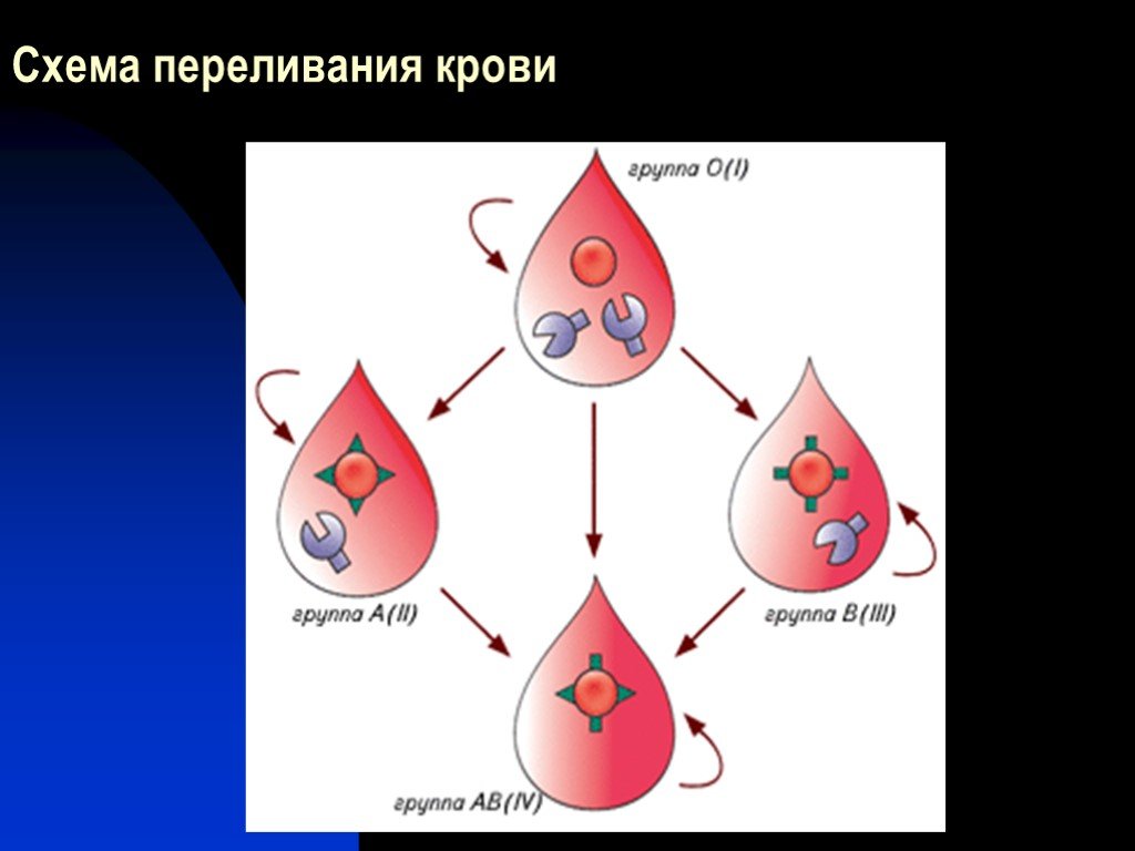 Группа крови и ее переливание. Схема переливания крови. Схема переливания крови по группам. Переливание крови группы крови. Группы крови картинки.