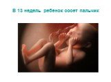 Развитие эмбриона Слайд: 8