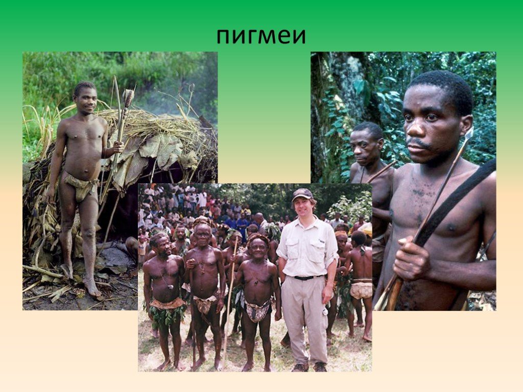 Самые низкие народы африки. Пигмеи народ Африки. Племя пигмеев.
