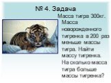 № 4. Задача. Масса тигра 300кг. Масса новорожденного тигренка в 200 раз меньше массы тигра. Найти массу тигренка. На сколько масса тигра больше массы тигренка?