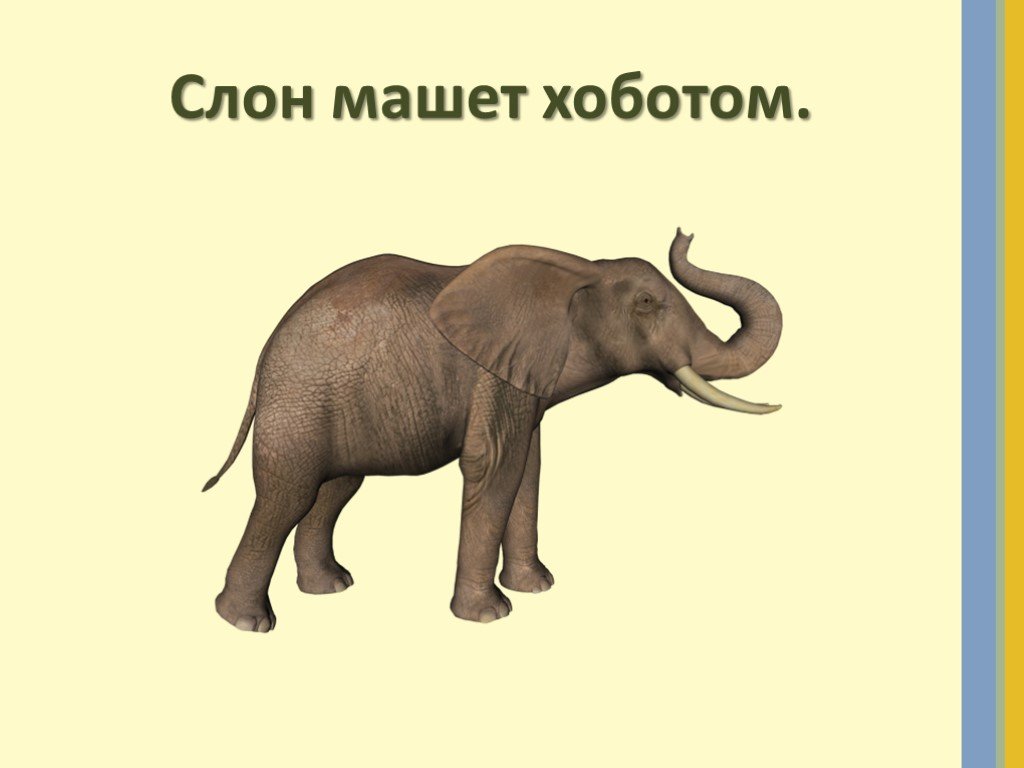 Окончание слова слонов. Слово слон. Слон машет. Слоник машет хоботом. Текст про слона.