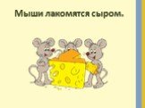 Мыши лакомятся сыром.