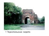 Тереспольские ворота