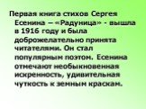 Первая книга стихов Сергея Есенина – «Радуница» - вышла в 1916 году и была доброжелательно принята читателями. Он стал популярным поэтом. Есенина отмечают необыкновенная искренность, удивительная чуткость к земным краскам.