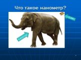 Что такое нанометр? 5 000 нм 1 нм