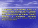 С симметрией мы встречаемся всюду - в природе, технике, искусстве, науке, например, симметрия, свойственная бабочке и кленовому листу, симметрия форм автомобиля и самолета, симметрия в ритмическом построении стихотворения, симметрия атомной структуры молекул и кристаллов.