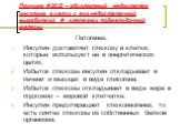 Причина ИЗСД – абсолютный недостаток инсулина в связи с его недостаточной выработкой  - клетками поджелудочной железы. Патогенез. Инсулин доставляет глюкозу в клетки, которые используют ее в энергетических целях. Избыток глюкозы инсулин откладывает в печени и мышцах в виде гликогена. Избыток глюкоз