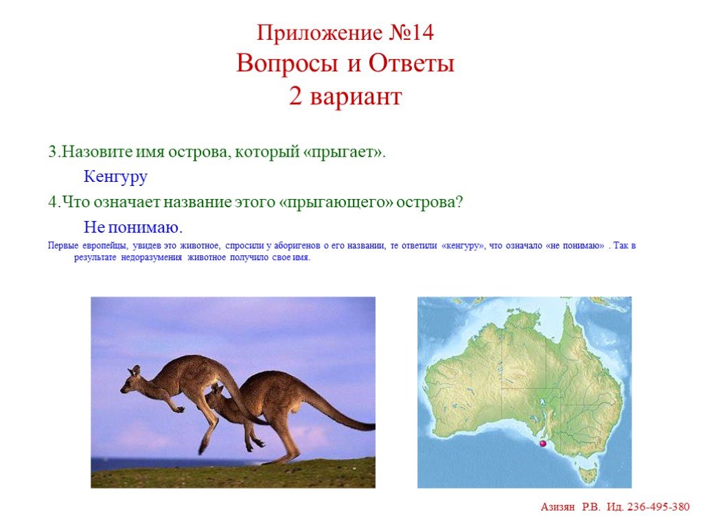На каком материке находится кенгуру. Кенгуру материк. На каком материке живет кенгуру. Назови Континент, на котором водятся кенгуру.. Где живет кенгуру материк.
