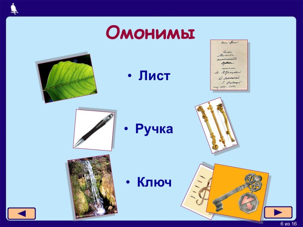 Омонимы 5 класс презентация