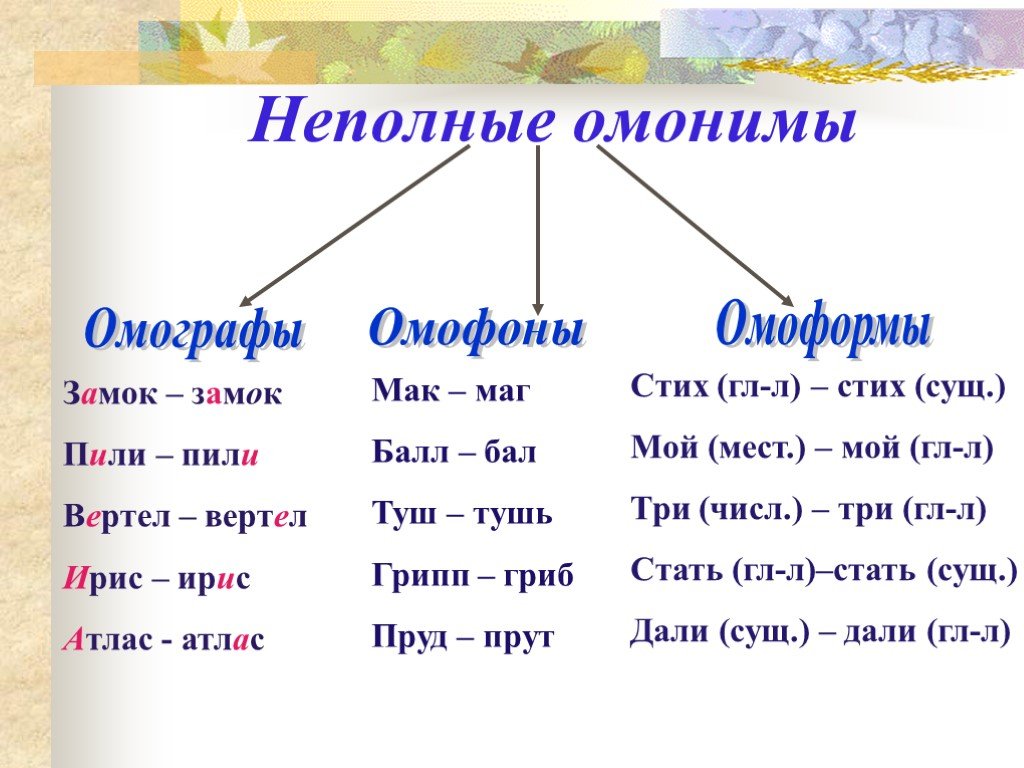 Найдите пары омонимов. Омофоны омографы омоформы. Омонимы омографы омоформы омофоны. Омофоны омографы омоформы примеры. Омонимы омографы омофоны примеры.