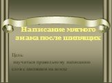 Написание мягкого знака после шипящих. Цель: научиться правильному написанию слов с шипящим на конце