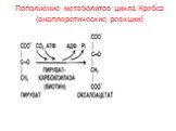 Пополнение метаболитов цикла Кребса (анаплеротические реакции)