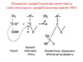 Механизм декарбоксилировния (часть окислительного декарбоксилирования ПВК)