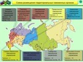 Система таможенных органов России: основные функции и принципы их взаимодействия Слайд: 11