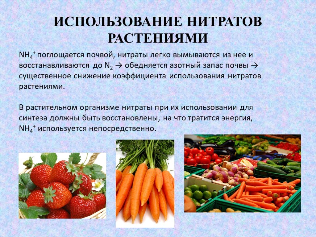 К группе нитратов относятся. Нитраты в овощах и фруктах. Таблица нитратов в овощах и фруктах. Нитраты в растениях. Влияние нитратов на растения.