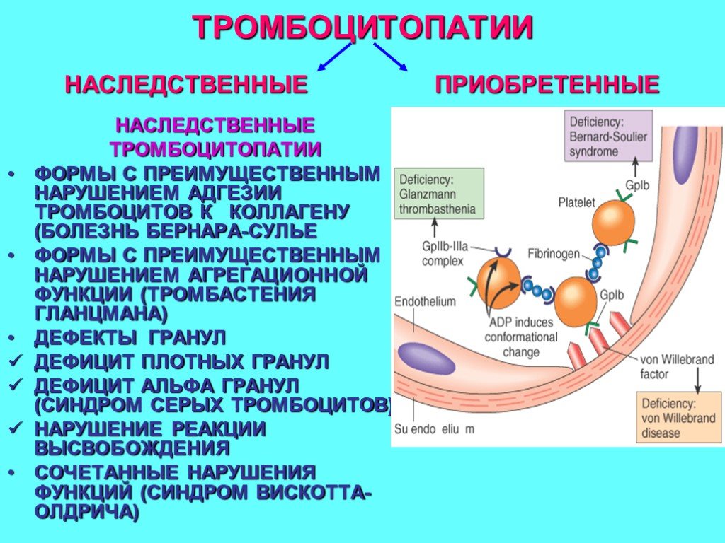 Коллаген агрегация. Приобретенные тромбоцитопатии патогенез. Тромбоцитопатия классификация. Нарушения гемостаза тромбоцитопатии. Наследственные тромбоцитопатии.