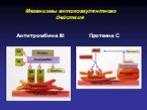 Механизмы антикоагулянтного действия. Антитромбина III Протеина С