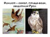 Финист – сокол, птица-воин, защитник Руси.