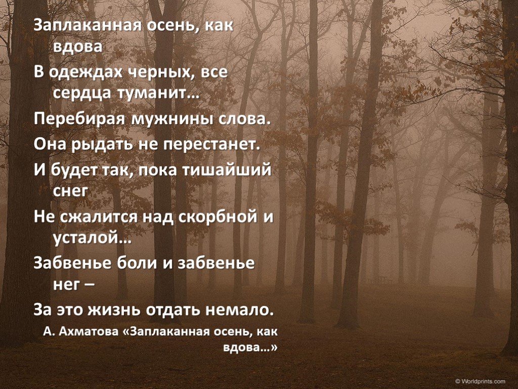 Вдова что означает. Заплаканная осень Ахматова. Заплаканная осень как вдова. Заплаканная осень как вдова Ахматова.