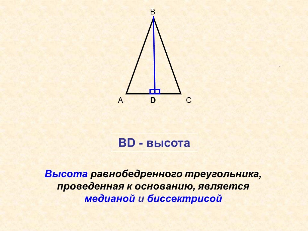 Биссектриса равнобедренного треугольника равна 6 3. Высота в равнобедренном треугольнике. В равнобедренном треугольнике высота является. Dscjnf ghjdtl`yyfz r jcyjdfyb. Hfdyj,tlhtyyjujnhteujkmybrf. Равнобедренный треугольник высота к основанию.