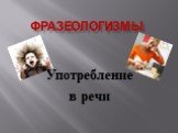 Фразеологизмы. Употребление в речи