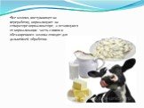 Все молоко, поступающее на переработку, нормализуют на сепараторе-нормализаторе, а оставшуюся от нормализации часть сливок и обезжиренного молока отводят для дальнейшей обработки