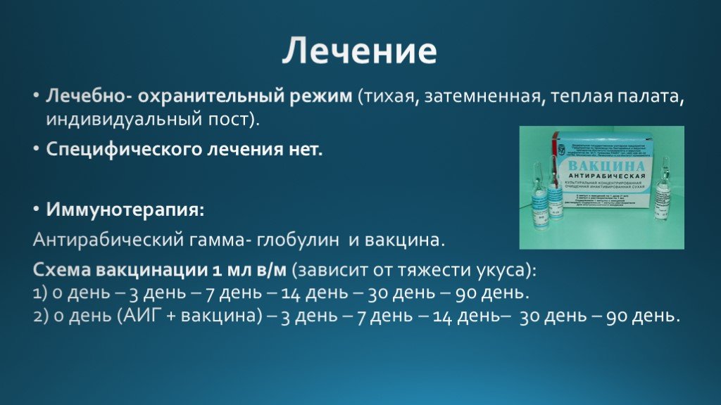 Прививка от бешенства человеку после укуса схема вакцинации