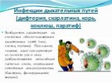 Инфекции дыхательных путей (дифтерия, скарлатина, корь, коклюш, паратиф). Возбудитель паразитирует на слизистых оболочках верхних дыхательных путей (нос, глотка, гортань). При кашле, чиханье, даже при разговоре из полости рта и носа разбрызгиваются мельчайшие частички слизи, содержащие патогенные ми