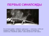 ПЕРВЫЕ СИНАПСИДЫ. На этой фотографии изображен диметродон — пеликозавр из Южной Америки с «парусом» на спине. Он был первым из сухопутных позвоночных, способным убивать животных ростом с него самого.