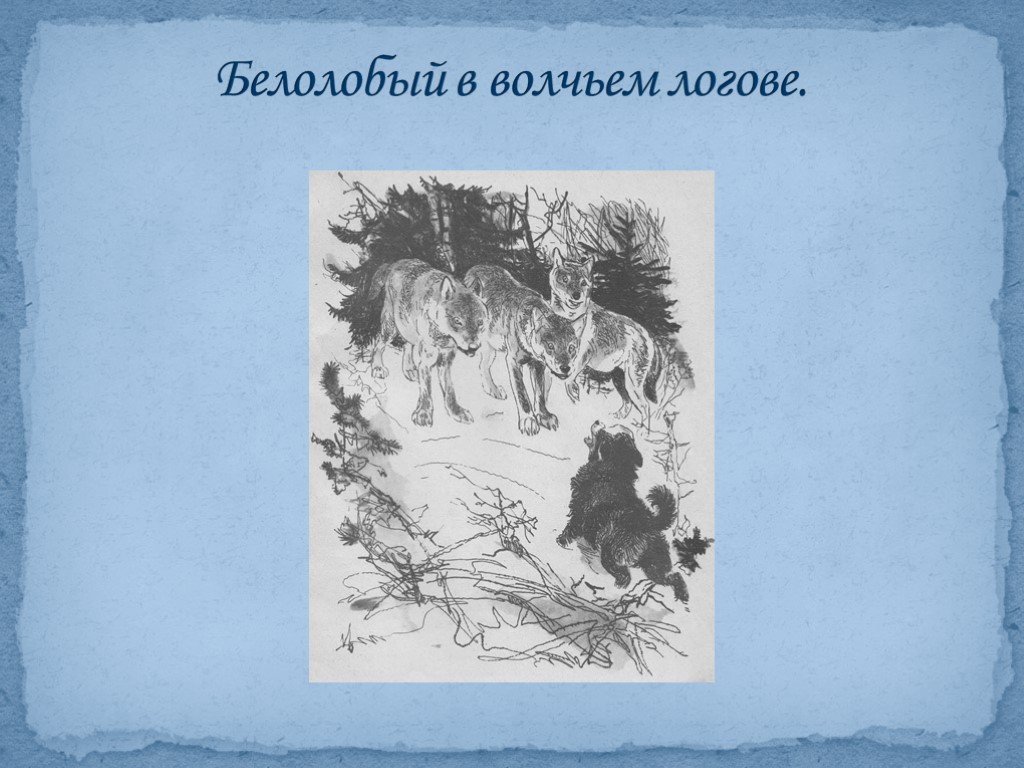 План к рассказу белолобый 3 класс по литературе