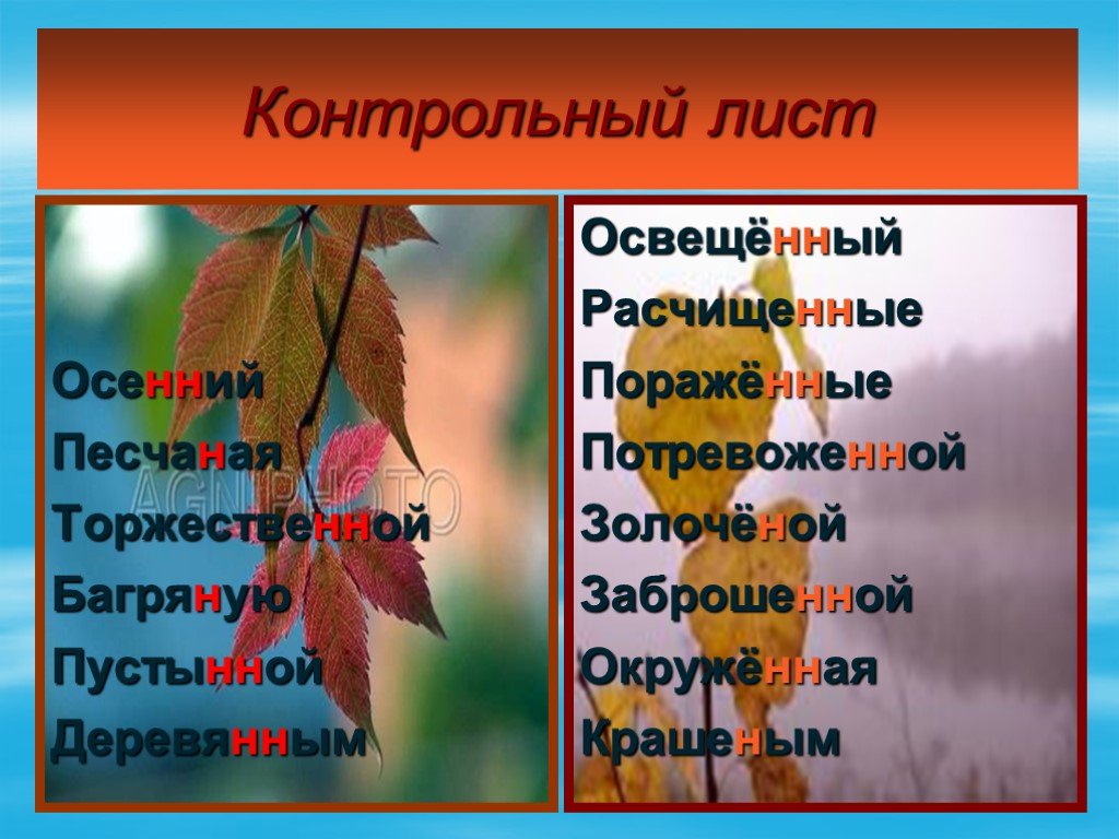 Осенние листья прилагательные. Прилагательные на тему осень. Прилагательные к осенним листьям. Осень какая прилагательные. Листочек с прилагательными.