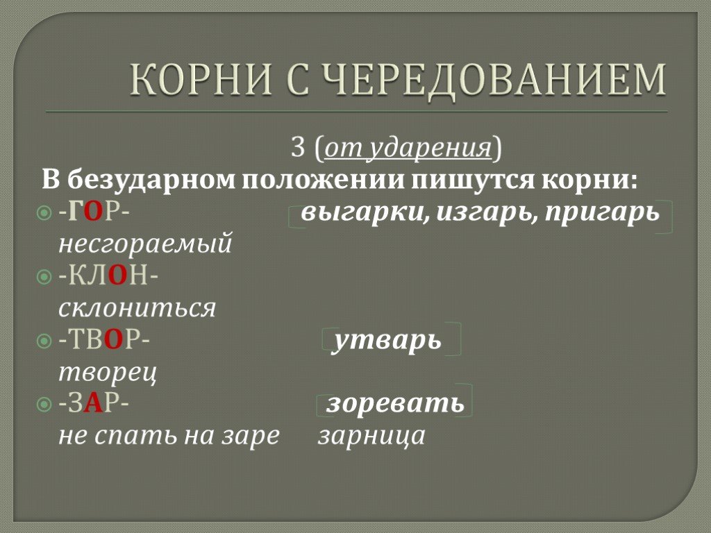 Положение корень