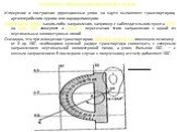 Измерение и построение дирекционных углов на карте. Измерение и построение дирекционных углов на карте выполняют транспортиром, артиллерийским кругом или хордоугломером. Дирекционный угол какого-либо направления, например с наблюдательного пункта (НП) на цель (Ц), измеряют в точке О пересечения этог