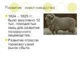 Развитие животноводства. 1824 – 1825 гг. было закуплено 12 тыс. породистых овец для развития тонкорунного овцеводства. Развитие отрасли тормозил узкий рынок сбыта.