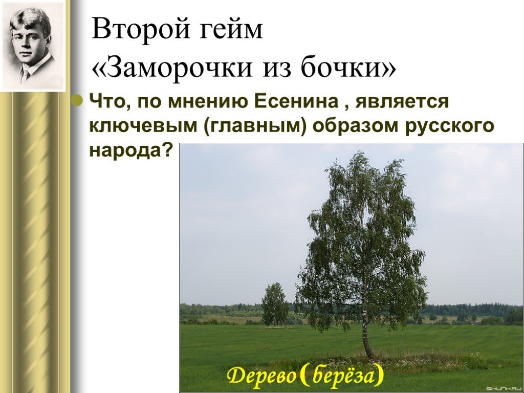 Презентация образ березы как ключевой образ русской литературы