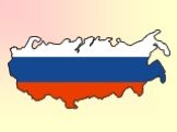 Уровнь владения русским языком как государственным среди молодежи Слайд: 14