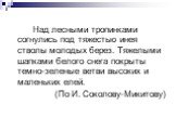 Над лесными тропинками согнулись под тяжестью инея стволы молодых берез. Тяжелыми шапками белого снега покрыты темно-зеленые ветви высоких и маленьких елей. (По И. Соколову-Микитову)