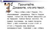 Нашу собаку зовут Нордик. Это обыкновенная дворняжка. Масти Нордик черной, только на лбу белая звездочка да на передних лапках белые носочки. На правой подлиннее, на левой покороче. Хвост у него колечком, а уши стоят, и оттого у Нордика вид веселый, жизнерадостный. Красивая у нас собака.