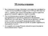 Высушенные плоды (финики), как и другие сухофрукты, — высококалорийные продукты (от 220 до 280 ккал на 100 г), удобны для транспортировки и долго хранятся даже в условиях жаркого, сухого климата. Листья финиковых пальм в Южной Европе употребляются при богослужении в Пальмовое (Вербное) воскресенье. 