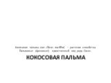 Кокосовая пальма. Коко́совая па́льма (лат. Cōcos nucifēra) — растение семейства Пальмовые (Арековые); единственный вид рода Cocos.