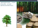 растительное сырье (отходы лесной промышленности);