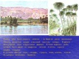 Долина реки была покрыта зеленью – по берегам росли финиковые пальмы, душистые акации и высокий тростник- папирус. В дельте – виноградные лозы и фруктовые деревья. В Ниле водилась рыба, которая была одним из продуктов питания египтян; заросли кишели птицами. В пустыне обитали львы, гепарды, страусы,