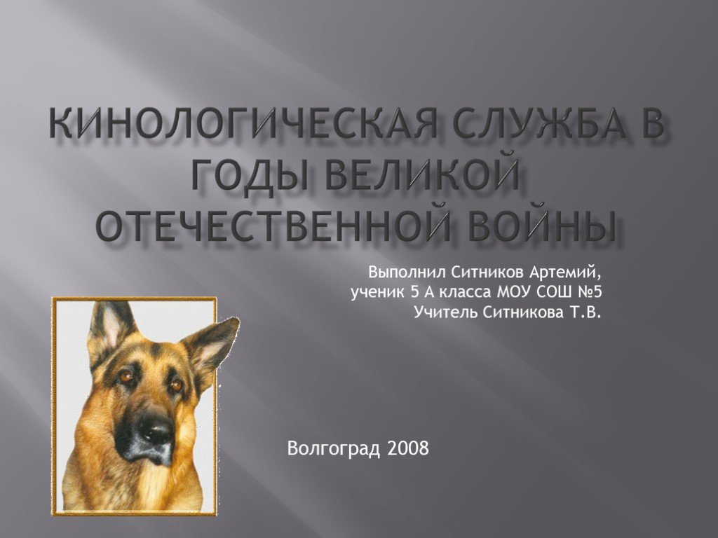 План работы кинологической службы на один год