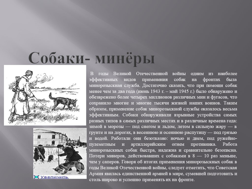 Кинологическая служба в годы великой отечественной войны проект