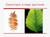 Симметрия в мире растений